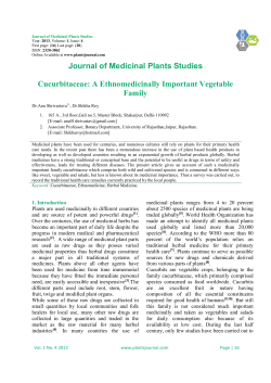 A Ethnomedicinally Important Vegetable Family