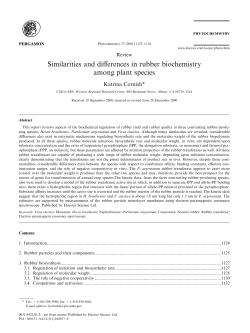 Similarities and differences in rubber biochemistry among plant