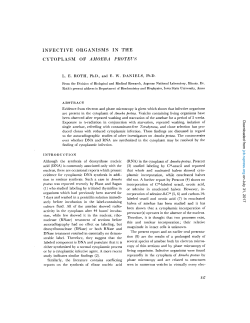 INFECTIVE ORGANISMS IN THE CYTOPLASM OF AMOEBA t
