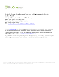 Exotic C4 Grasses Have Increased Tolerance to Glyphosate under