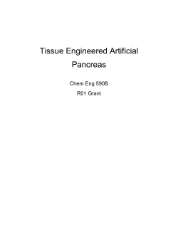 Tissue Engineered Artificial Pancreas Chem Eng 590B R01 Grant