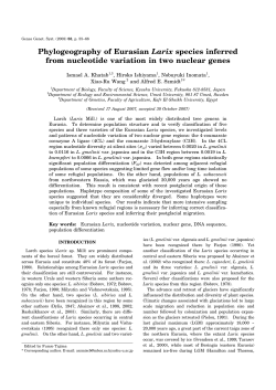 Phylogeography of Eurasian Larix species - J