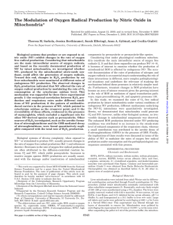 The Modulation of Oxygen Radical Production by Nitric Oxide in