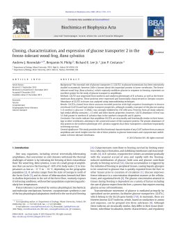 Cloning, characterization, and expression of glucose transporter 2 in