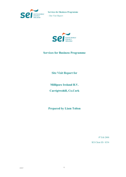 Site Visit Report Template
