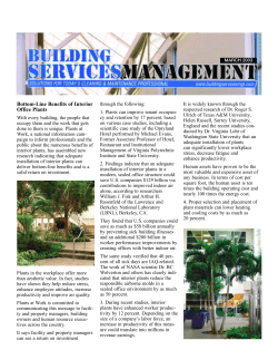 Bottom-Line Benefits of Interior Office Plants