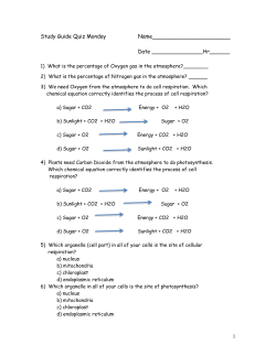 Study Guide Quiz Monday Name