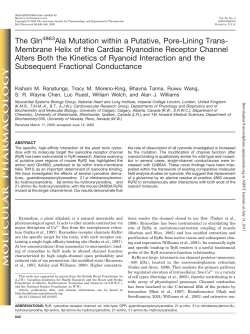 The Gln Ala Mutation within a Putative, Pore
