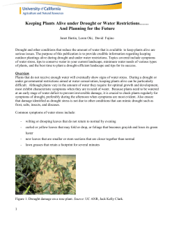 Keeping Plants Alive under Drought or Water