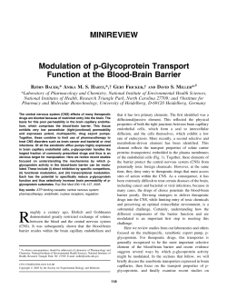 MINIREVIEW Modulation of p-Glycoprotein Transport