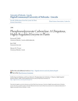 A Ubiquitous, Highly Regulated Enzyme in Plants