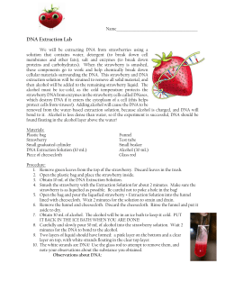 DNA Extraction Lab