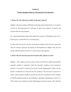 Lecture 21 Pentose Phosphate Pathways, Glycogenesis