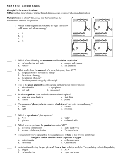 Study Guide Biology Unit 4