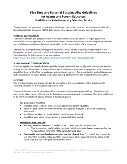 Flex Time and Personal Sustainability Guidelines for Agents