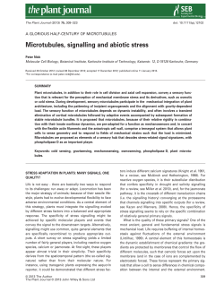 Microtubules, signalling and abiotic stress