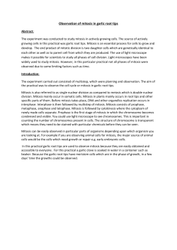 Observation of mitosis in garlic root tips Abstract: The experiment