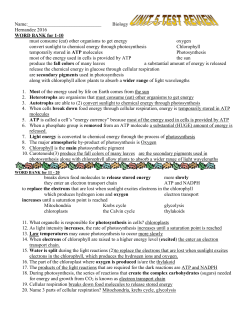 Biology Hernandez 2016 WORD BANK for 1
