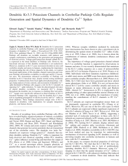 Dendritic Kv3.3 Potassium Channels in Cerebellar Purkinje Cells