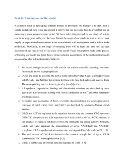 Text S2: Assumptions of the model