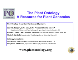 The Plant Ontology A Resource for Plant Genomics