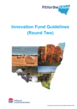 Innovation Fund Guidelines (Round Two) - Fit for the Future
