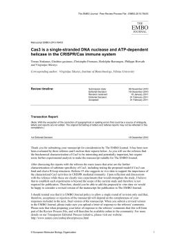 Cas3 is a single-stranded DNA nuclease and ATP