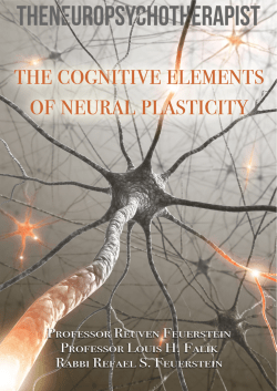 cognitive modifiability - David`s Learning Journal