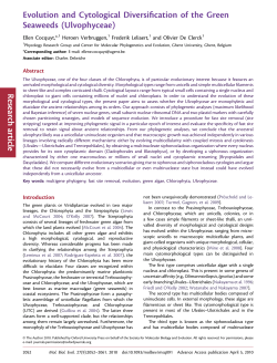 Evolution and Cytological Diversification of the Green Seaweeds