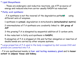 S15 Fatty Acid Biosynthesis
