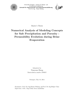Numerical Analysis of Modeling Concepts for Salt Precipitation and