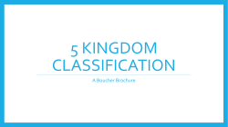 Kingdom monera and protista shortened