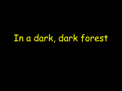 In a dark, dark forest