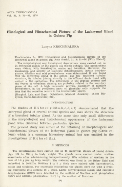 Histological and Histochemical Picture of the Lachrymal Gland in