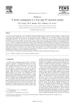 F factor conjugation is a true type IV secretion system
