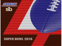 2016 Super Bowl