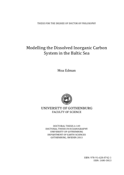 Modelling the Dissolved Inorganic Carbon System in the