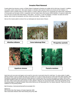Invasive Plant Removal - Virginia Native Plant Society