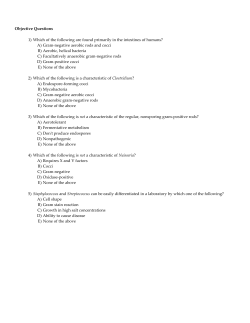 Objective Questions