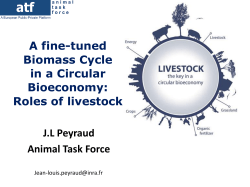 A fine-tuned Biomass Cycle in a Circular Bioeconomy