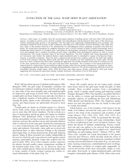 EVOLUTION OF THE GALL WASP&ndash;HOST PLANT ASSOCIATION