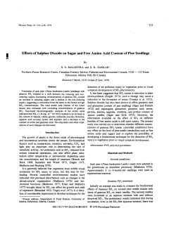 Effects of Sulphur Dioxide on Sugar and Free Amino Acid Content of