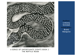 A Series of Unfortunate Events Book 2