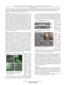 titin, a giant elastic protein in muscle: role in elastic recoil in tendon