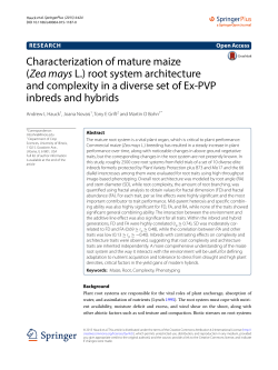 Characterization of mature maize (Zea mays L.) root system