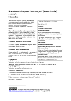 How do waterbugs get their oxygen? (Years 5 and 6)