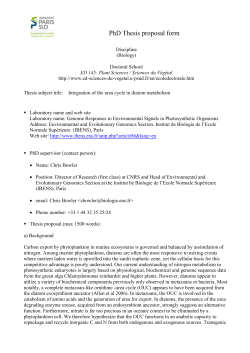 Thesis - Universit&eacute; Paris-Sud