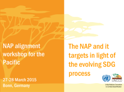 The NAP and it targets in light of the evolving SDG process