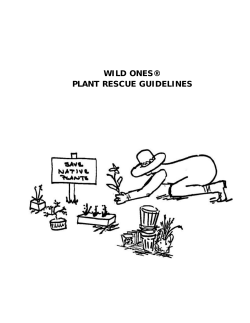 Plant Rescue Guidelines