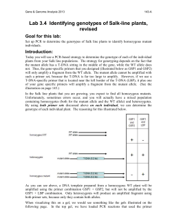 Lab 3.4 Identifying genotypes of Salk